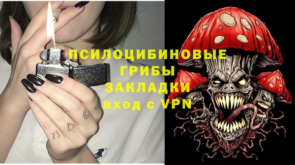 МДПВ Алексеевка