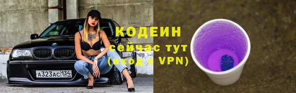 прущие грибы Абаза