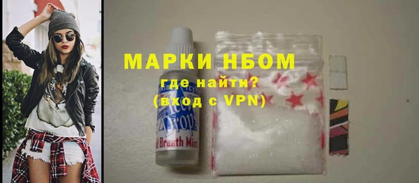 прущие грибы Абаза