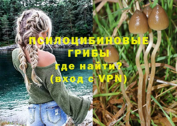 Альфа ПВП Корсаков