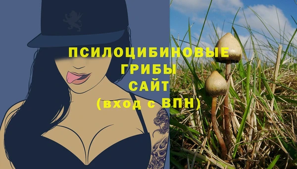 apvp Абинск