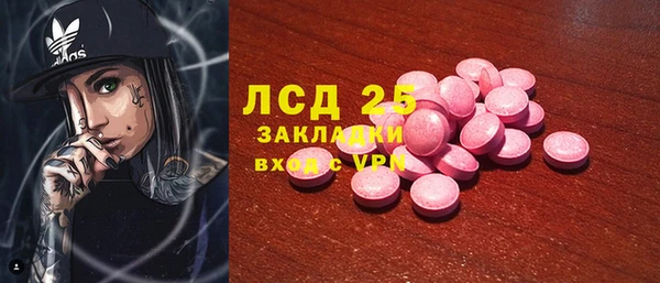 прущие грибы Абаза