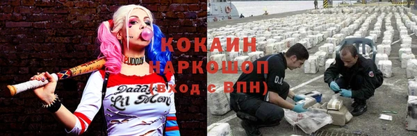 гидра Алексин