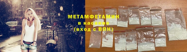 прущие грибы Абаза
