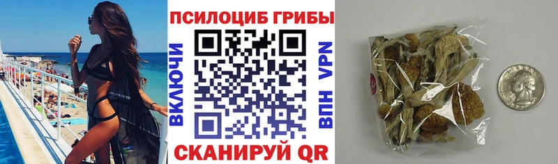 закладки Орёл Псилоцибиновые грибы MAGIC MUSHROOMS